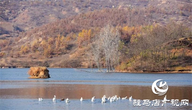泌陽(yáng)：帶你領(lǐng)略不一樣的風(fēng)景