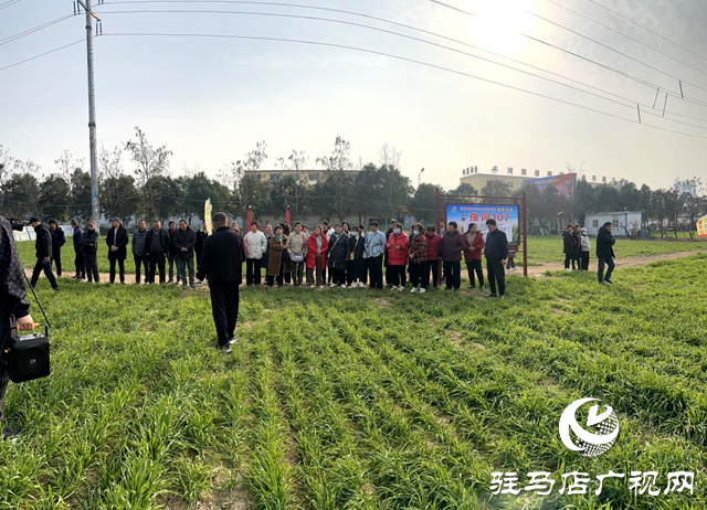 正陽縣組織高素質農民赴噸源種業(yè)觀摩學習