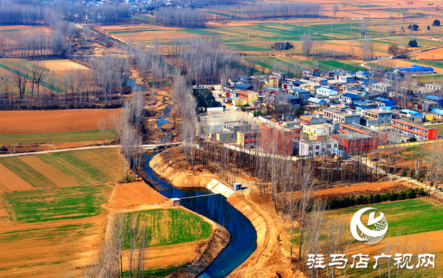 泌陽縣黃山口鄉(xiāng)：走穩(wěn)小麥“田管棋”，繪就夏收好“豐”景