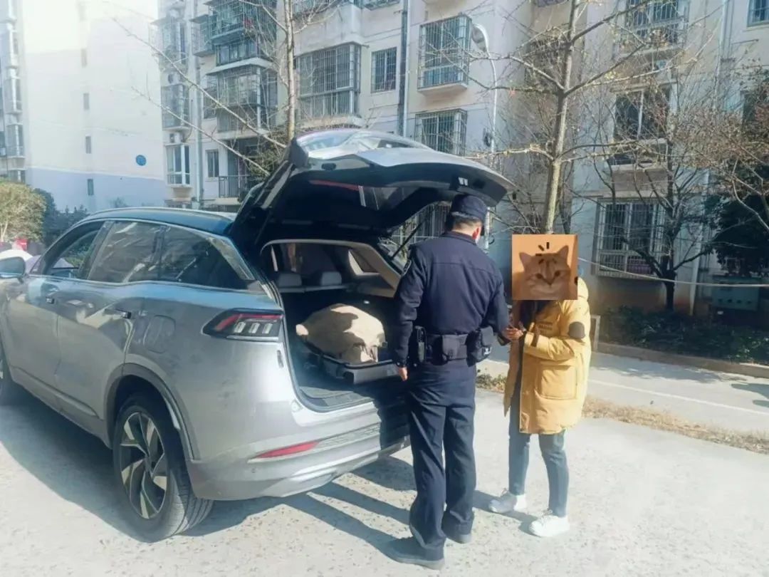 “網(wǎng)約車送現(xiàn)金”可修復(fù)數(shù)據(jù)返現(xiàn)？“這群里除了你，都是托！”
