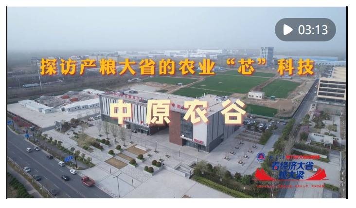 中原農(nóng)谷育新種迎豐年——探訪產(chǎn)糧大省河南的農(nóng)業(yè)“芯”科技