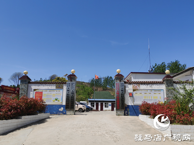 驛城區(qū)老河鄉(xiāng)大林子村：產(chǎn)業(yè)發(fā)展奏響鄉(xiāng)村振興新樂章