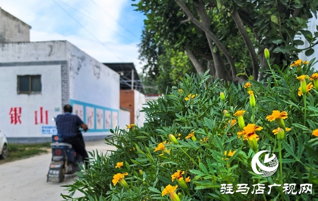 泌陽(yáng)縣黃山口鄉(xiāng)：宜居鄉(xiāng)村宜共建，美好生活?yuàn)^斗來(lái)