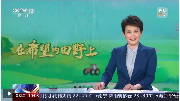 在希望的田野上 河南 小麥進(jìn)入穩(wěn)產(chǎn)關(guān)鍵期 科技助力田管