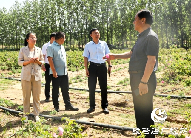 泌陽(yáng)：黨建引領(lǐng)促振興 “紅色引擎”譜新篇
