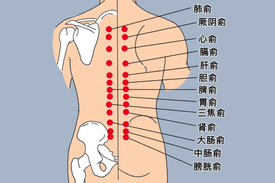 春夏交替易疲勞，4件事養(yǎng)好精力