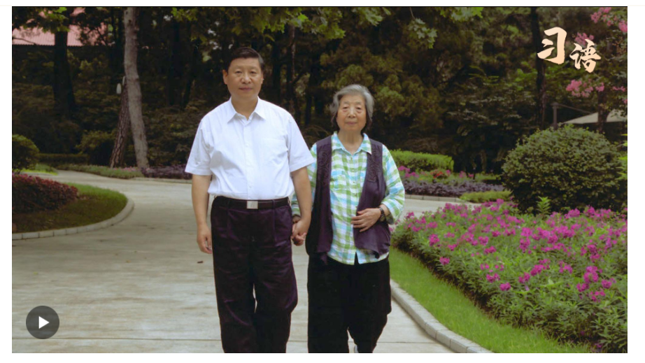 習語丨“誰言寸草心，報得三春暉”