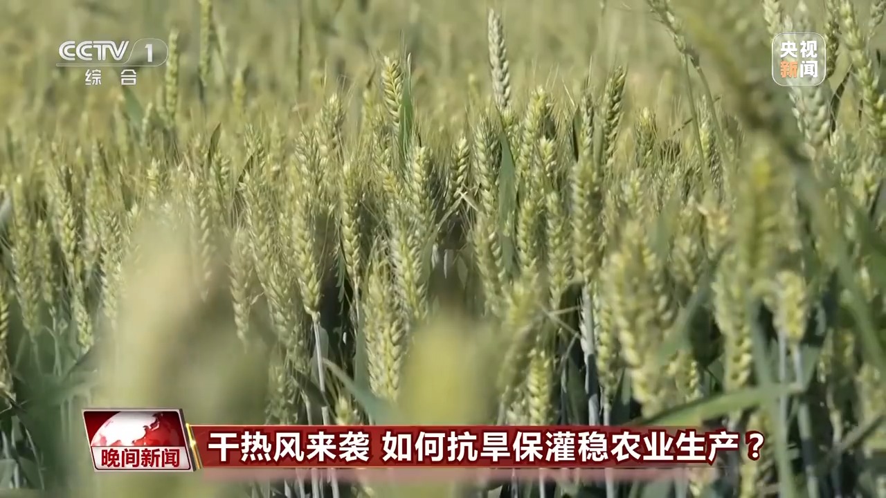 干熱風(fēng)來襲 如何抗旱保灌穩(wěn)農(nóng)業(yè)生產(chǎn)？