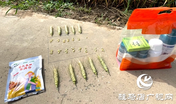 普眾良田農(nóng)業(yè)科技有限公司成功舉辦谷滿倉(cāng)增產(chǎn)肥種植技術(shù)交流會(huì)暨VIP客戶答謝會(huì)