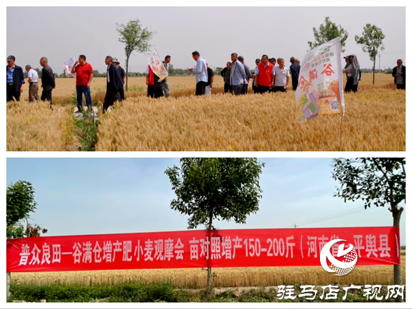 普眾良田農(nóng)業(yè)科技有限公司成功舉辦谷滿倉(cāng)增產(chǎn)肥種植技術(shù)交流會(huì)暨VIP客戶答謝會(huì)