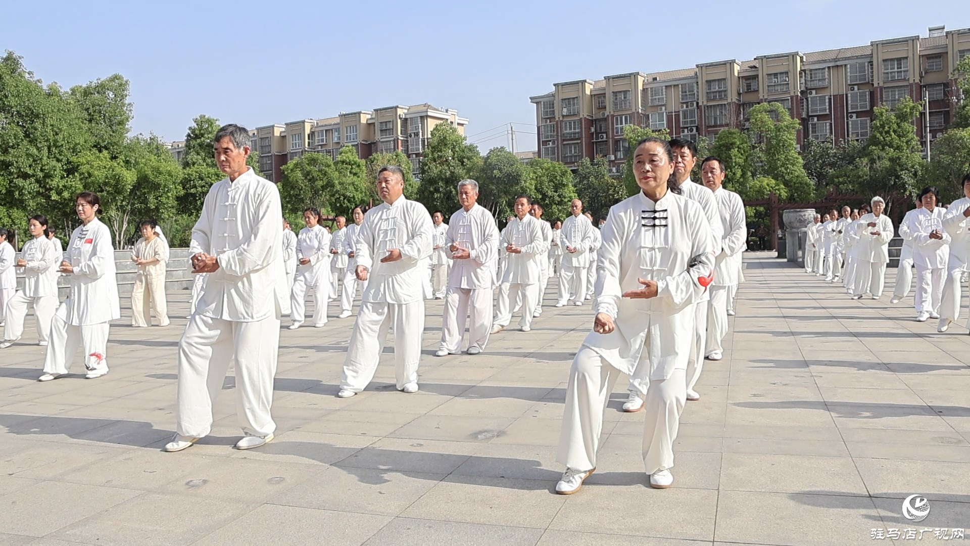 2025年全國“5.19”太極拳大聯(lián)動（正陽分會場）活動舉行
