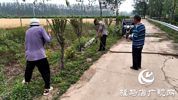 平輿縣李屯鎮(zhèn)：科學(xué)防范“干熱風(fēng)” 全力守護小麥生長 