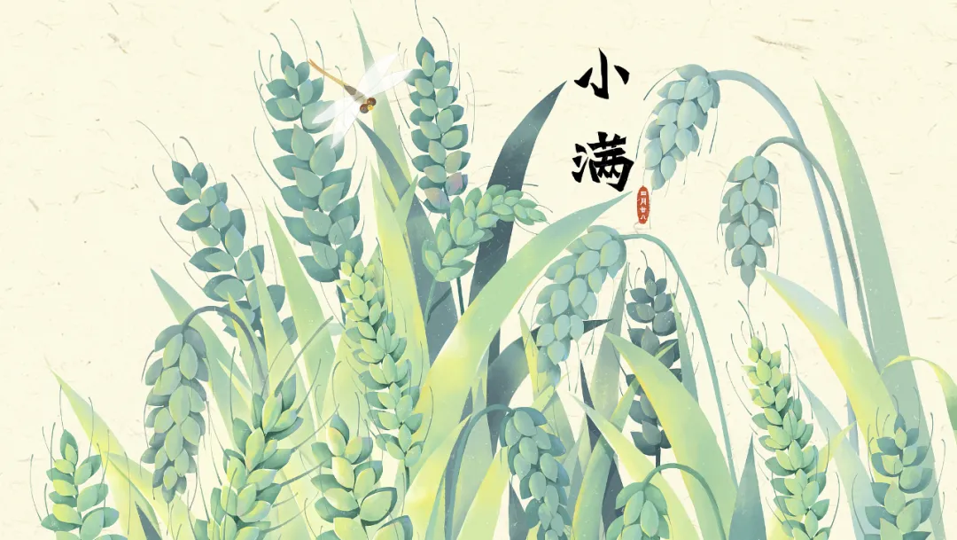 今日小滿：小得盈滿，萬(wàn)物可期