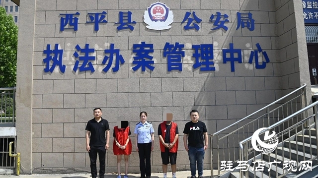  小案快偵顯擔(dān)當(dāng)!西平警方迅速破獲系列盜竊電車電瓶案